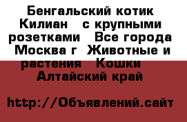 Бенгальский котик Килиан , с крупными розетками - Все города, Москва г. Животные и растения » Кошки   . Алтайский край